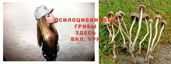 jwh Богородицк