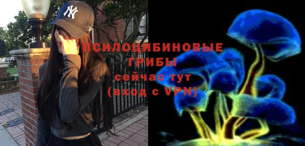 jwh Богородицк