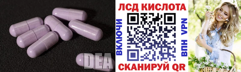 цена наркотик  Мураши  Лсд 25 экстази кислота 
