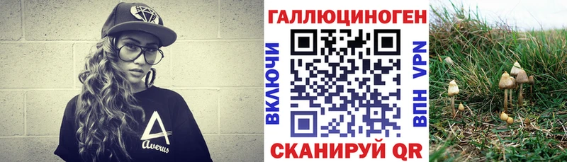 купить закладку  Мураши  Псилоцибиновые грибы GOLDEN TEACHER 